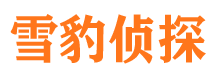 连城外遇调查取证